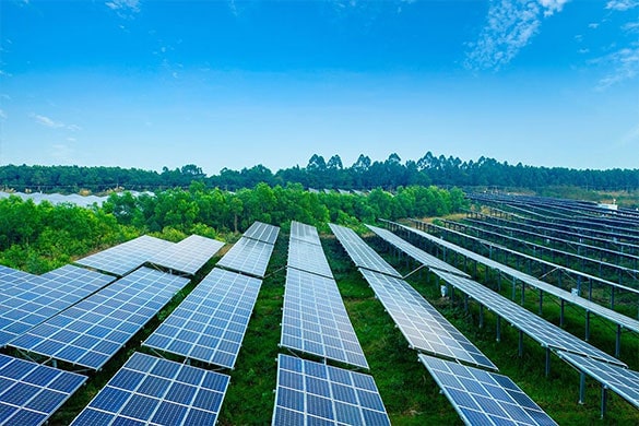 Les panneaux solaires sont-ils écologiques?